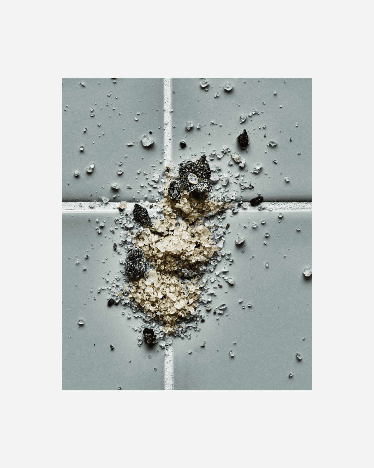 NICOLAS VAHE Gewürzsalz - Mushrooms