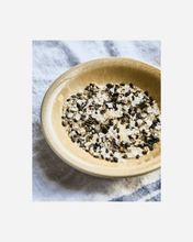 Lade das Bild in den Galerie-Viewer, NICOLAS VAHE Gewürzsalz - Knoblauch & Ingwer