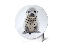 Lade das Bild in den Galerie-Viewer, RELAXOUND Oceanbox Limited Edition Spring Robbe