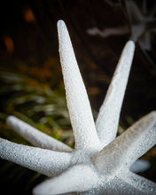 Lade das Bild in den Galerie-Viewer, HOUSE DOCTOR Ornament Spike mit Glitter in 2 Größen