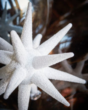 Lade das Bild in den Galerie-Viewer, HOUSE DOCTOR Ornament Spike mit Glitter in 2 Größen