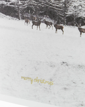 Lade das Bild in den Galerie-Viewer, HOUSE DOCTOR GrußKarten HD Winter