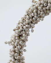 Lade das Bild in den Galerie-Viewer, HOUSE DOCTOR Winterkranz weiß in 2 Größen