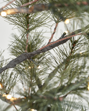 Lade das Bild in den Galerie-Viewer, HOUSE DOCTOR Weihnachtsbaum mit LED-Lichtern, HDPeuce 125 cm