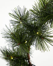 Lade das Bild in den Galerie-Viewer, HOUSE DOCTOR Kranz Peuce natur