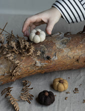 Lade das Bild in den Galerie-Viewer, STOREFACTORY Haga Kürbis aus Filz in 3 Farben