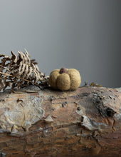 Lade das Bild in den Galerie-Viewer, STOREFACTORY Haga Kürbis aus Filz in 3 Farben