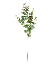 Lade das Bild in den Galerie-Viewer, HOUSE DOCTOR Kunstzweig Eukalyptus, grün