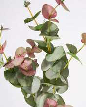 Lade das Bild in den Galerie-Viewer, HOUSE DOCTOR Kunstzweig Eukalyptus, grün