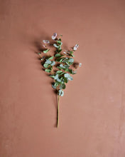 Lade das Bild in den Galerie-Viewer, HOUSE DOCTOR Kunstzweig Eukalyptus, grün