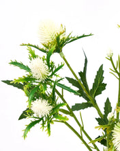 Lade das Bild in den Galerie-Viewer, HOUSE DOCTOR Kunstzweig Eryngium, weiß