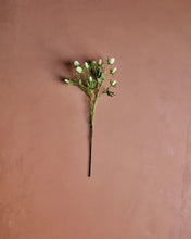 Lade das Bild in den Galerie-Viewer, HOUSE DOCTOR Kunstzweig Eryngium, weiß