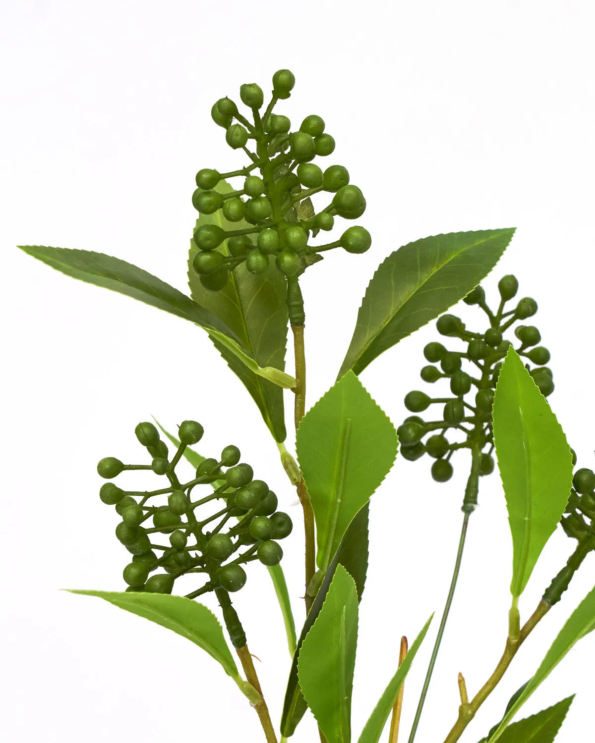 HOUSE DOCTOR Kunstzweig Ligustrum, grün