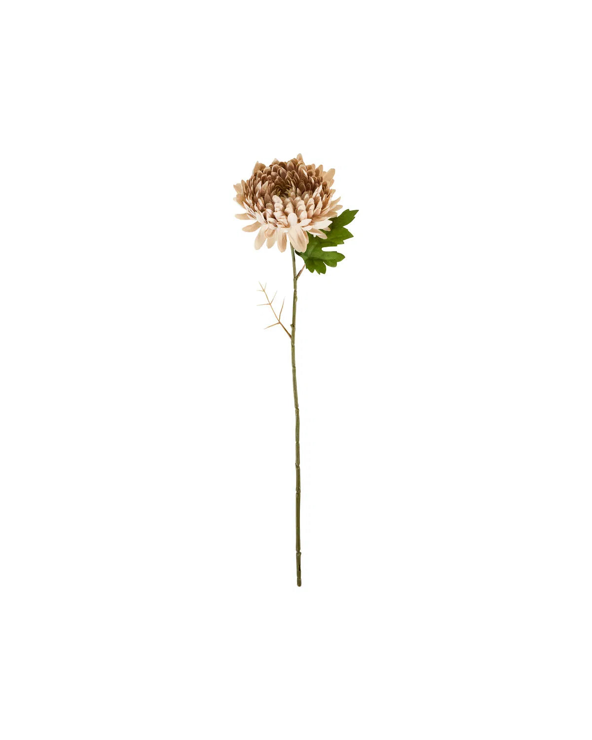HOUSE DOCTOR Kunstzweig Chrysanthemum, Staubige Rose