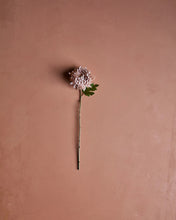 Lade das Bild in den Galerie-Viewer, HOUSE DOCTOR Kunstzweig Chrysanthemum, Staubige Rose