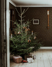 Lade das Bild in den Galerie-Viewer, STOREFACTORY Bolmsö Hängedekoration Kugel