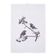 Lade das Bild in den Galerie-Viewer, FROHSTOFF Geschirrtuch Rotkehlchen