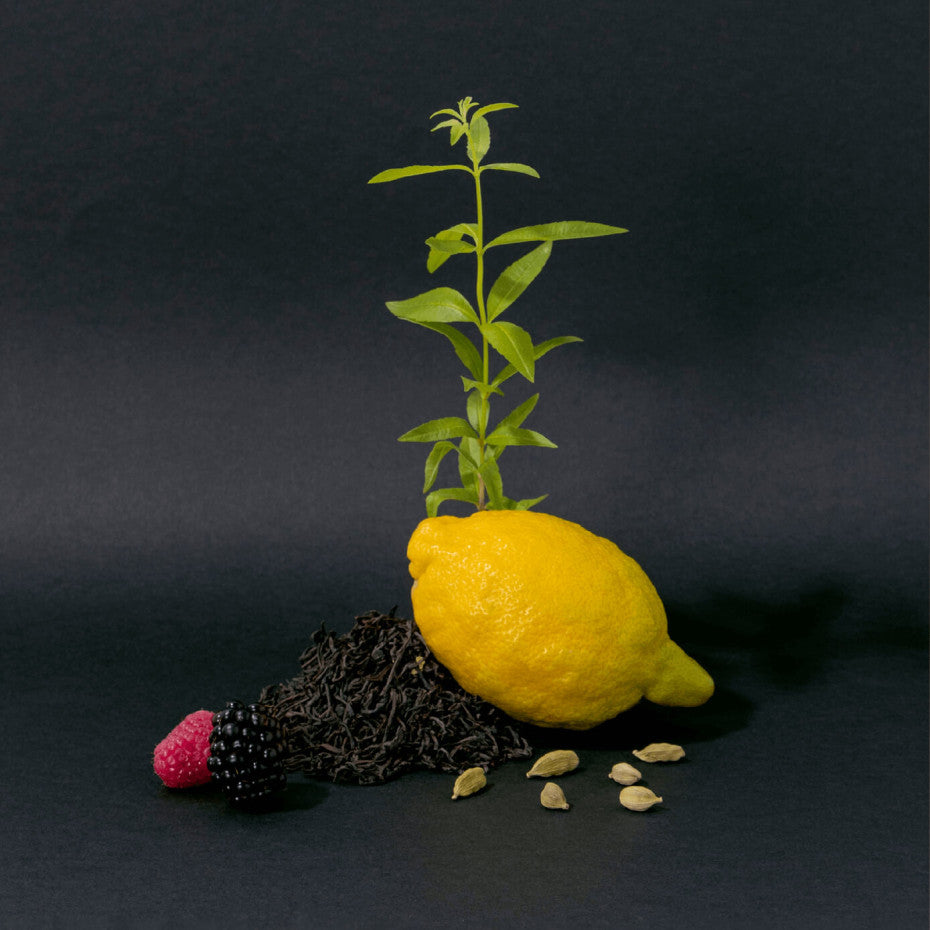 Compagnie de Provence Flüssigseife Black Tea