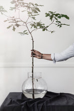 Lade das Bild in den Galerie-Viewer, ERNST Glasvase rund mit Lederband in 3 Größen