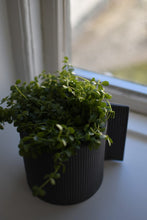 Lade das Bild in den Galerie-Viewer, STOREFACTORY Vassunda Blumentopf dark grey