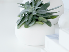 Lade das Bild in den Galerie-Viewer, STOREFACTORY Lindby Keramiktopf