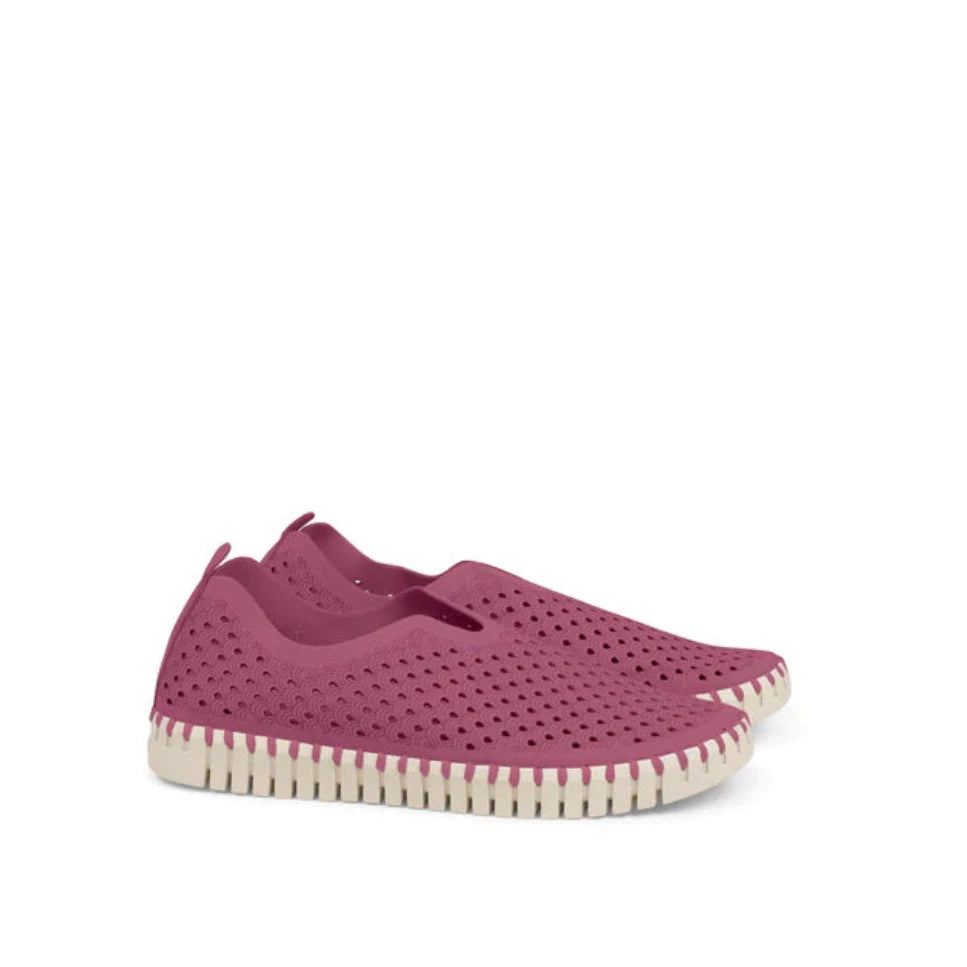 ILSE JACOBSEN Slipper Tulip Wild Berry