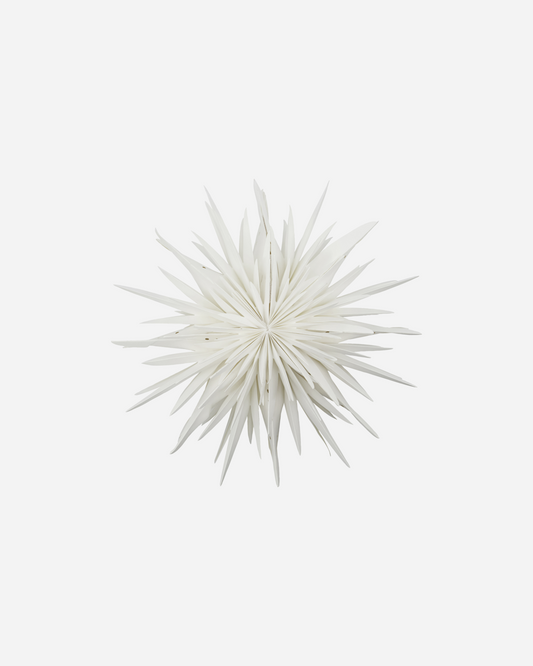 HOUSE DOCTOR Stern HDDust, offwhite