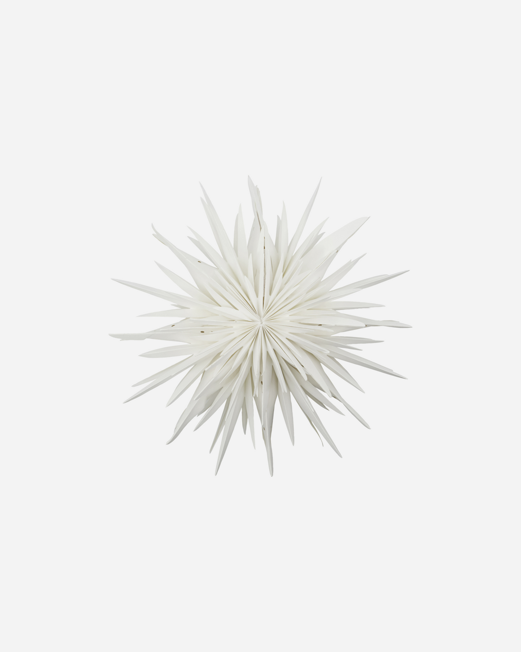 HOUSE DOCTOR Stern HDDust, offwhite