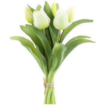 EXNER Tulpenbund Artificial Natur