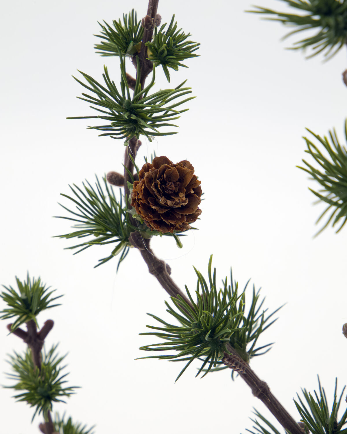 HOUSE DOCTOR Weihnachtsbaum HD Stay, grün