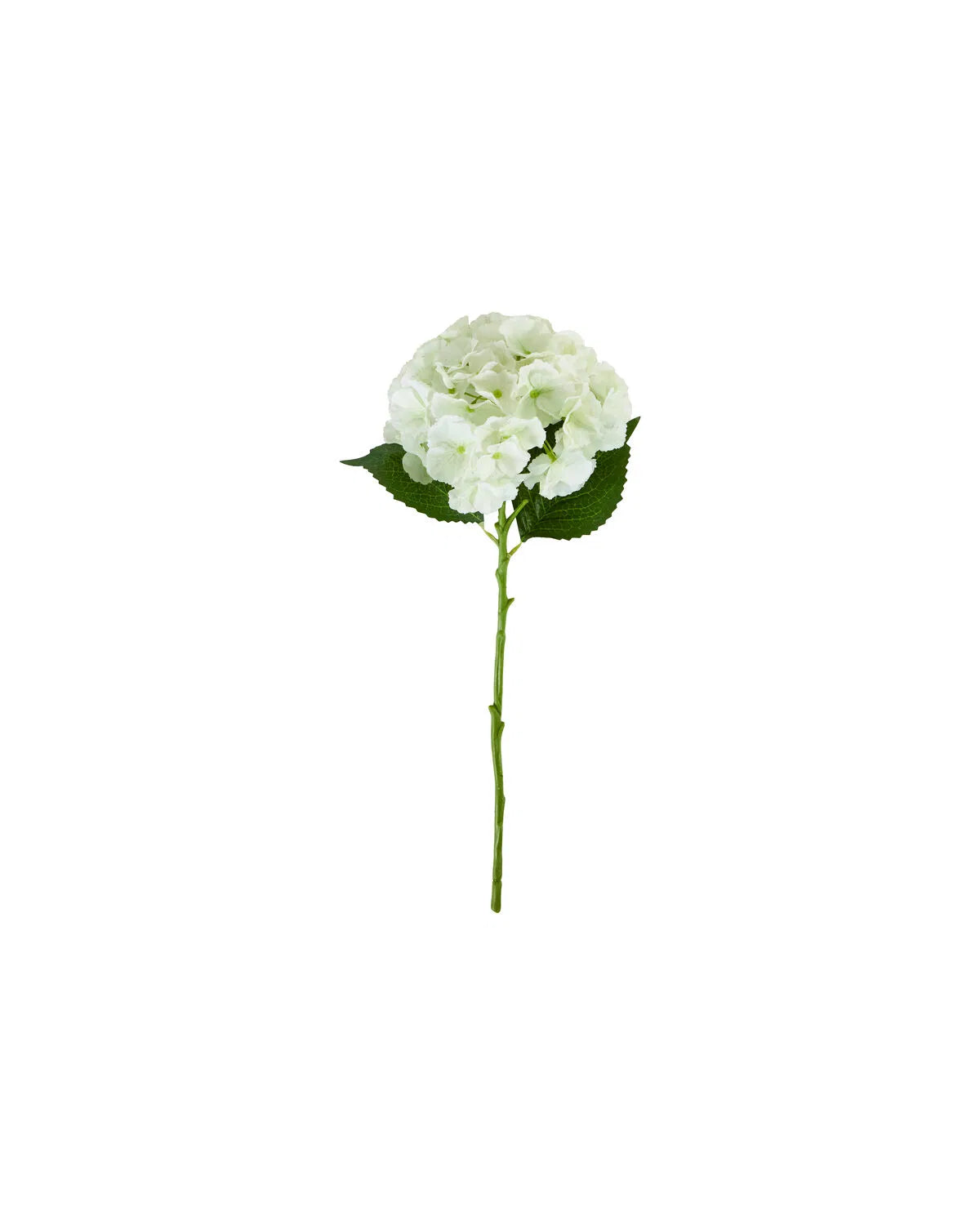HOUSE DOCTOR Kunstzweig Hydrangea, weiß