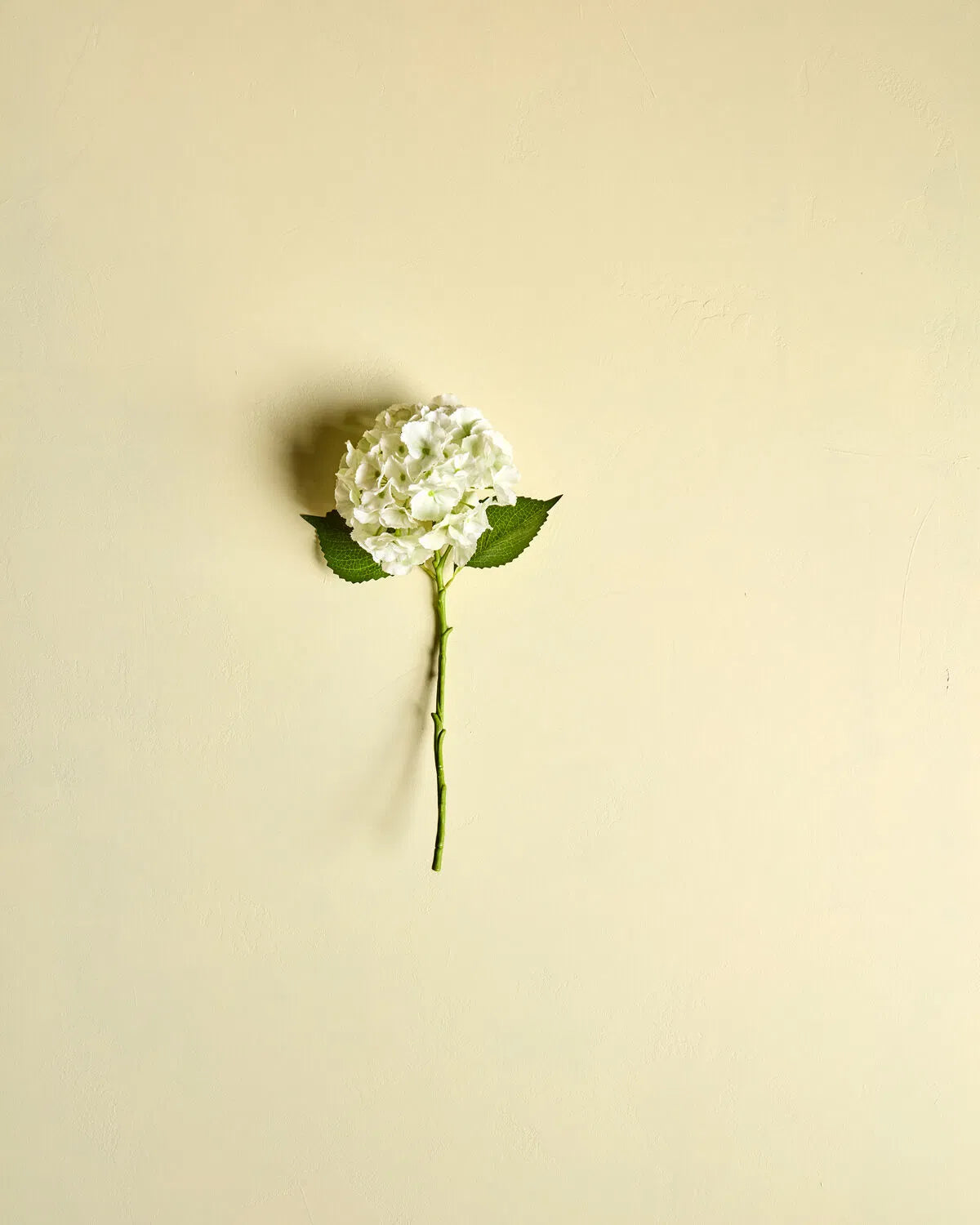 HOUSE DOCTOR Kunstzweig Hydrangea, weiß