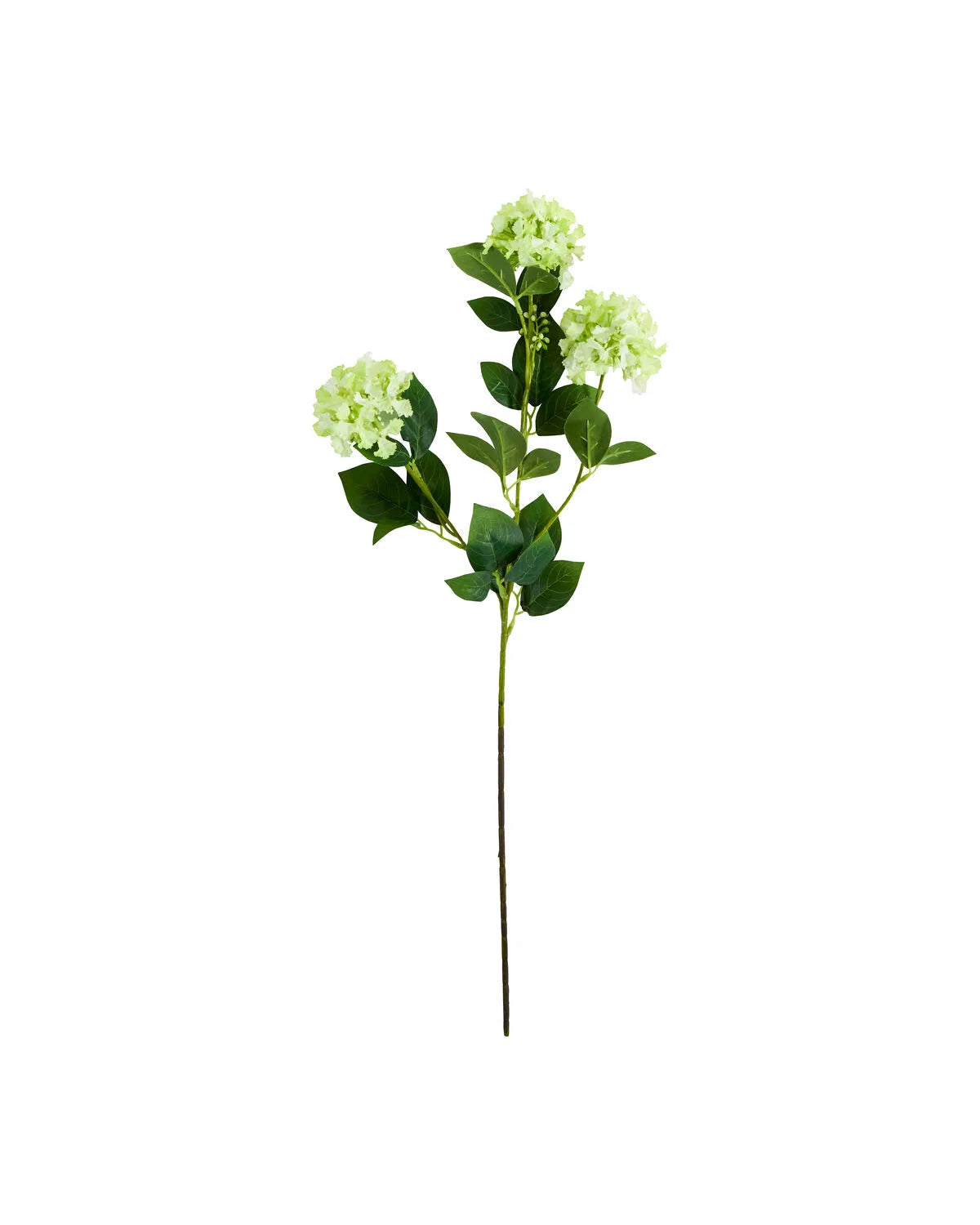 HOUSE DOCTOR Kunstzweig Viburnum, grün