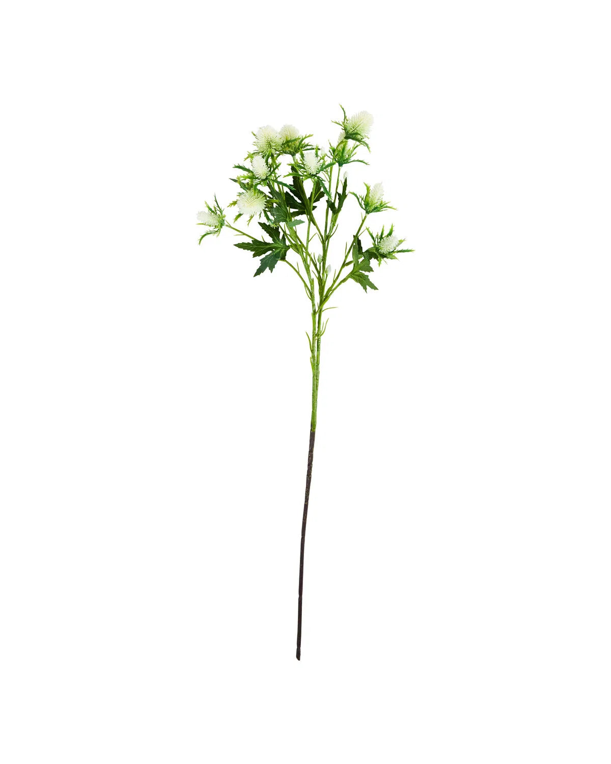 HOUSE DOCTOR Kunstzweig Eryngium, weiß