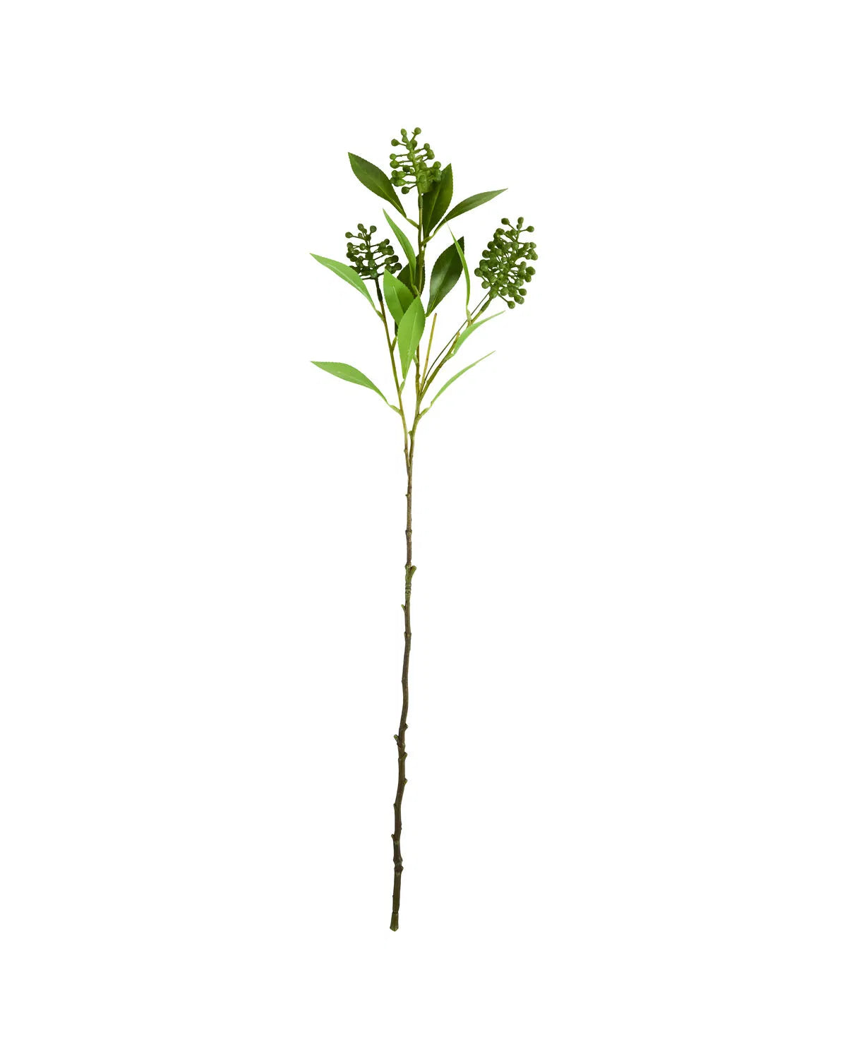HOUSE DOCTOR Kunstzweig Ligustrum, grün