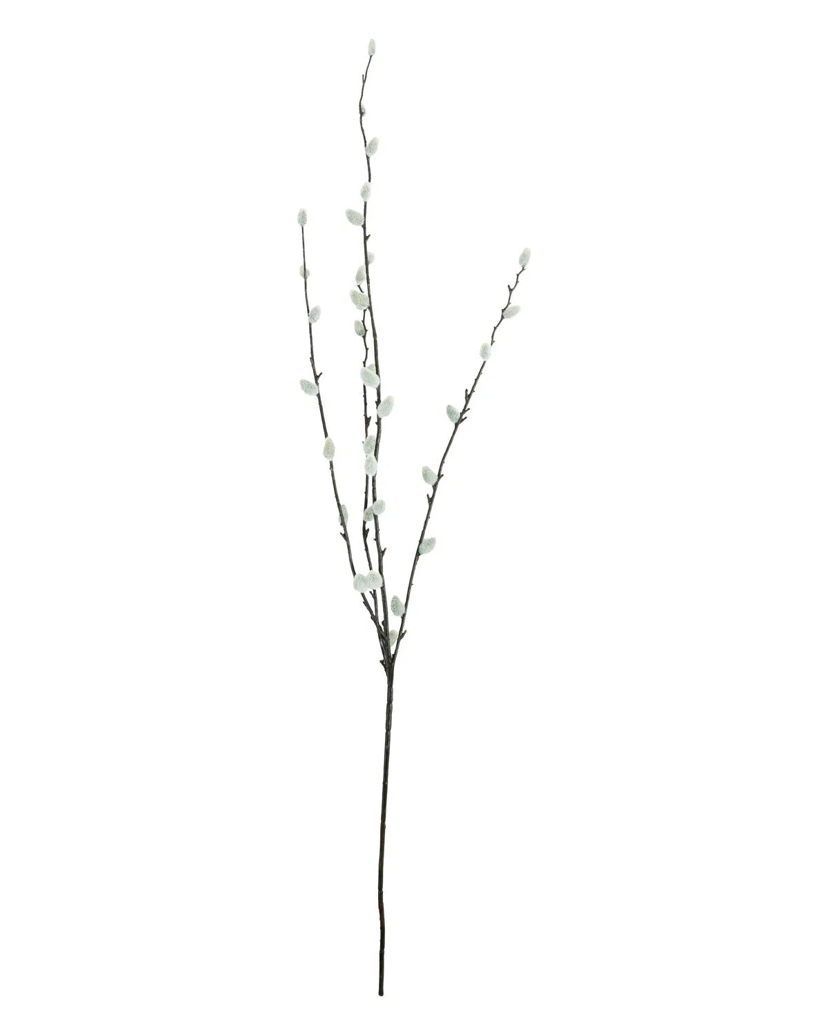 HOUSE DOCTOR Kunstzweig Salix, grün