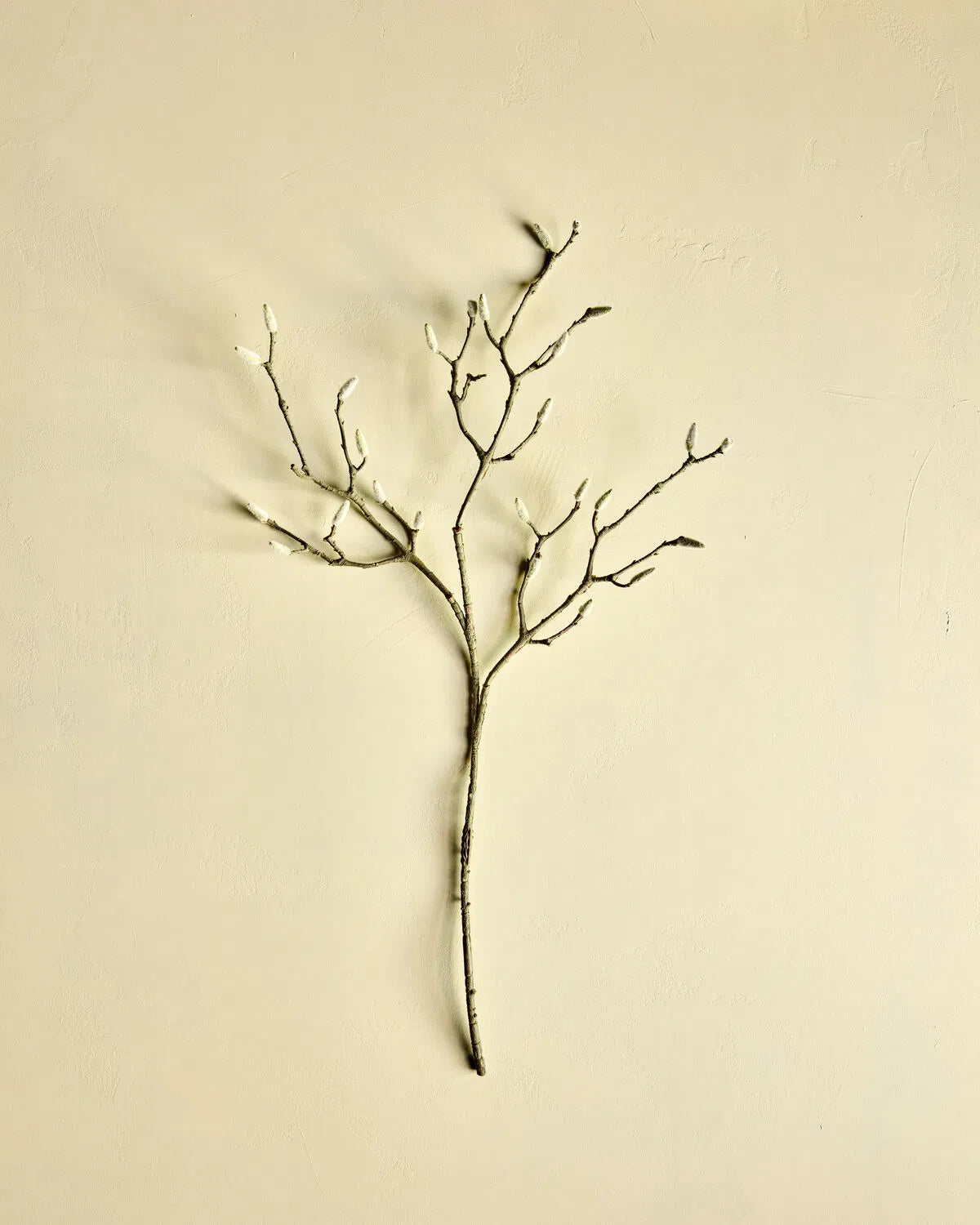HOUSE DOCTOR Kunstzweig Magnolia, weiß