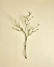 Lade das Bild in den Galerie-Viewer, HOUSE DOCTOR Kunstzweig Magnolia, weiß
