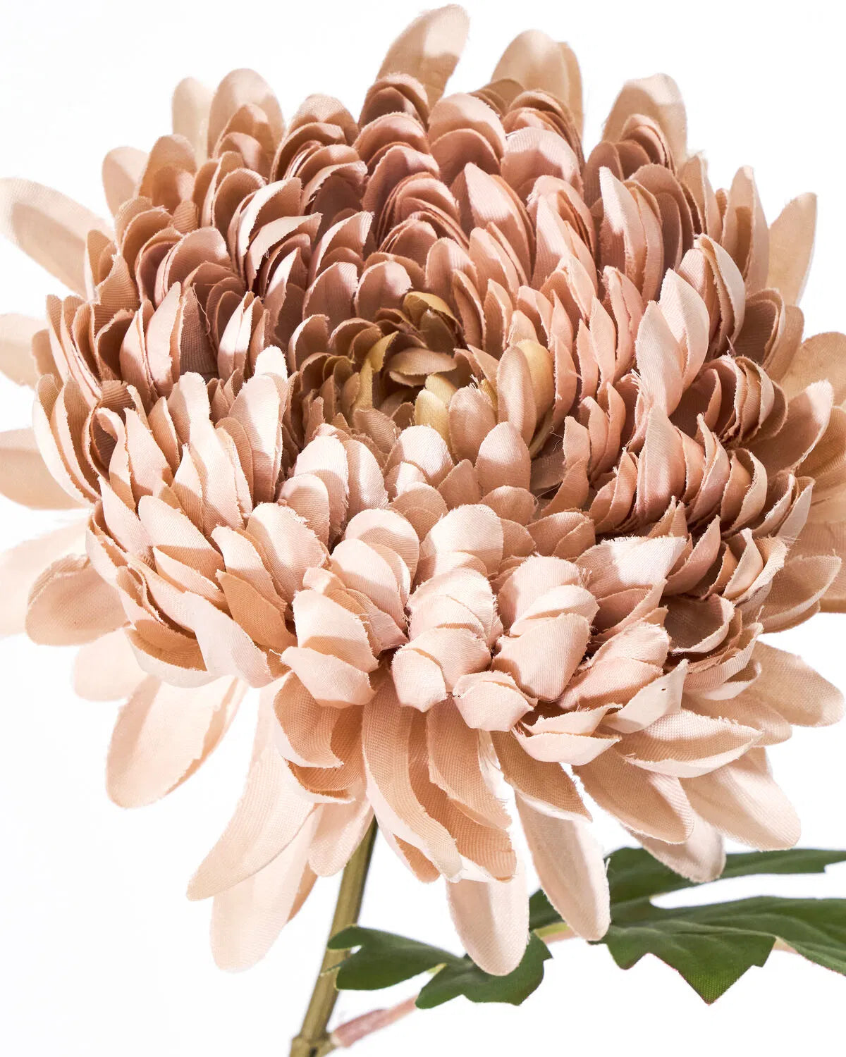 HOUSE DOCTOR Kunstzweig Chrysanthemum, Staubige Rose