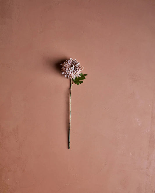 HOUSE DOCTOR Kunstzweig Chrysanthemum, Staubige Rose