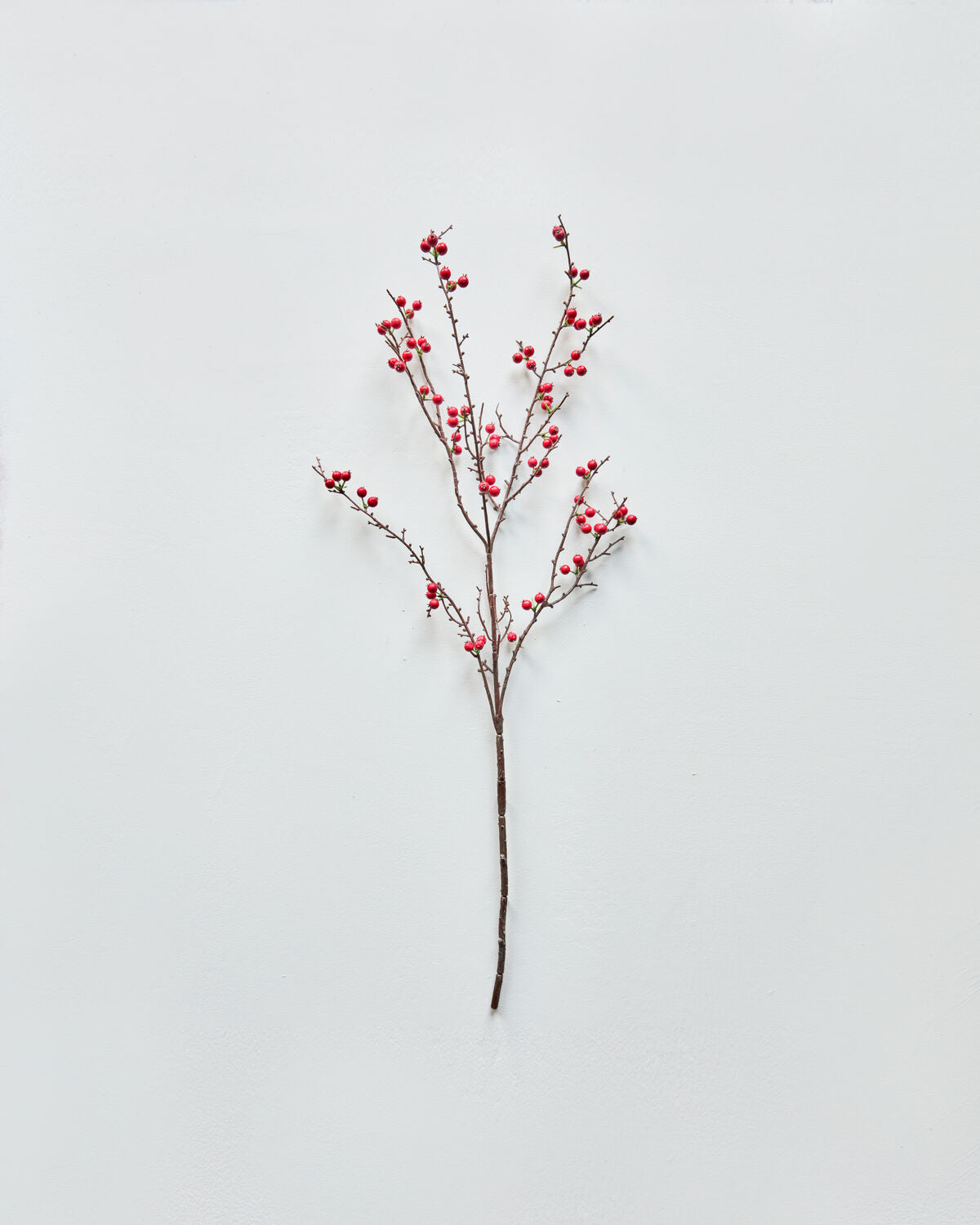 HOUSE DOCTOR Kunstzweig mit Beeren HD rot