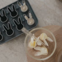 Lade das Bild in den Galerie-Viewer, EULENSCHNITT Eiswürfelform Hasen
