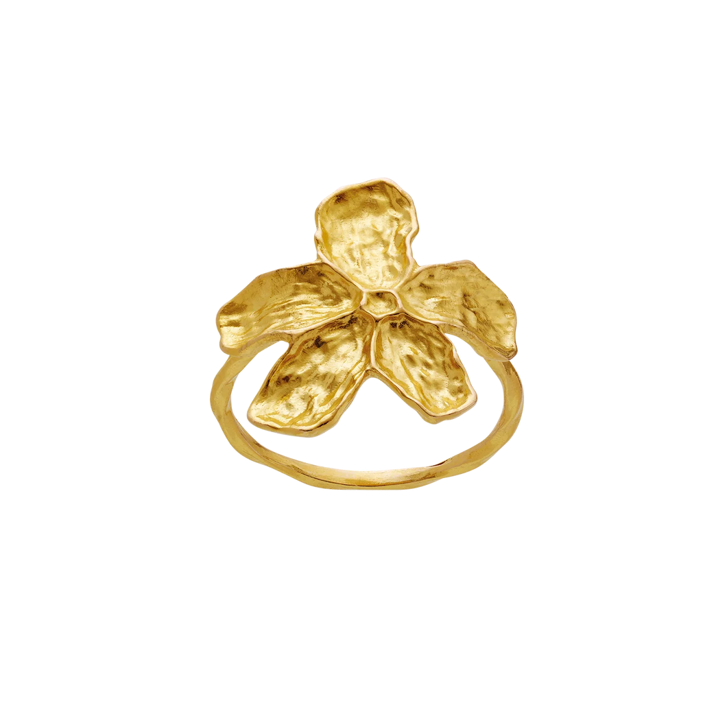 MAANESTEN Freias Ring Gelbgold