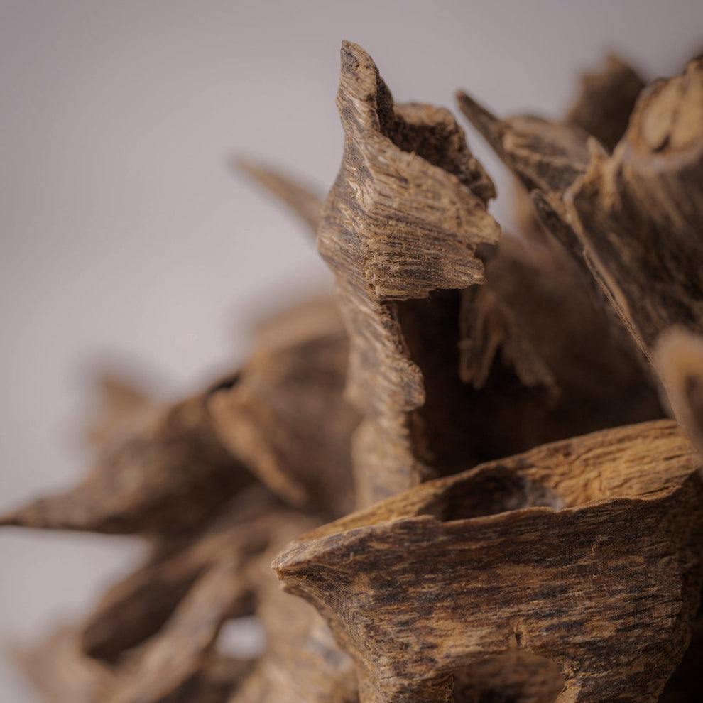 Noneedformore Natürliche Räucherstäbchen Agarwood  - Airplane Mood