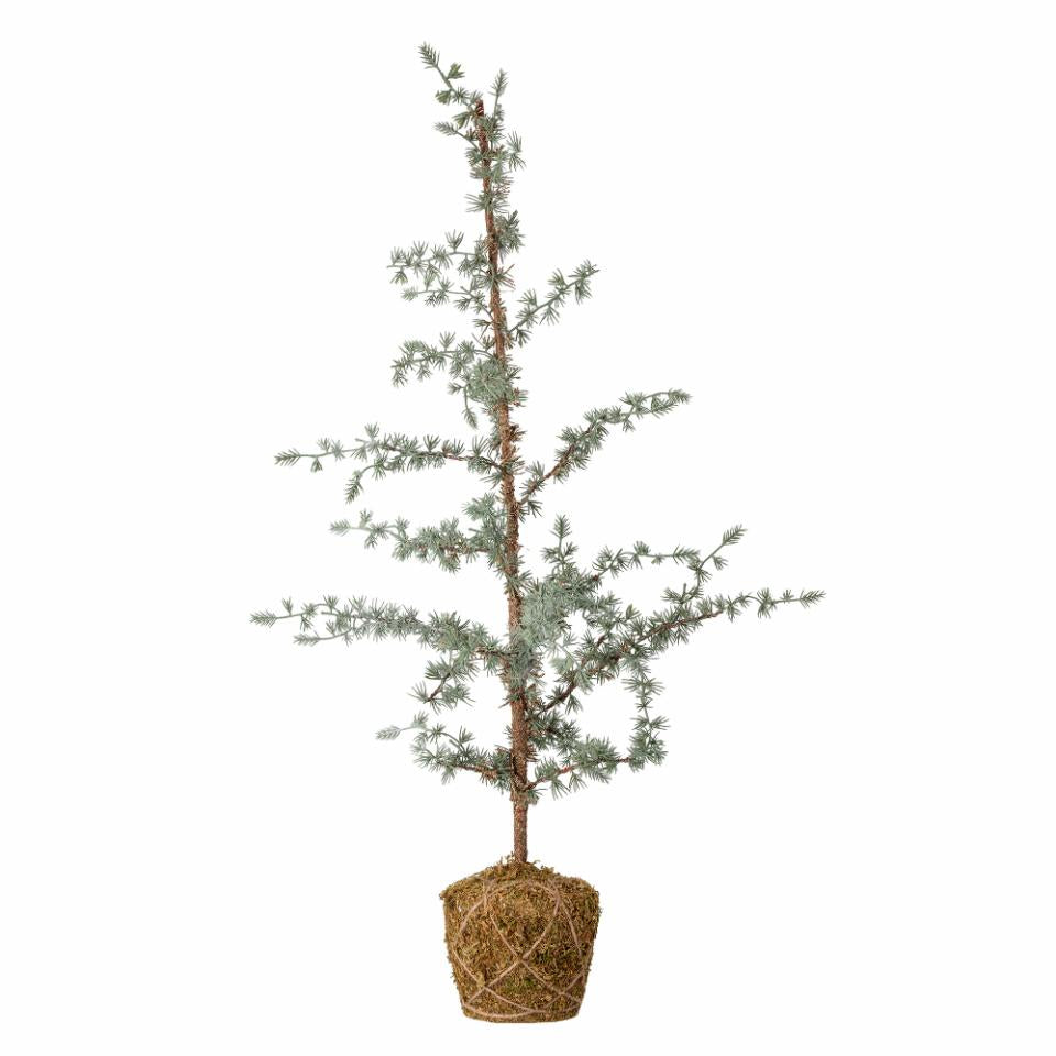 BLOOMINGVILLE Vita Baum, Small