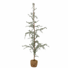 Lade das Bild in den Galerie-Viewer, BLOOMINGVILLE Vita Baum, Large
