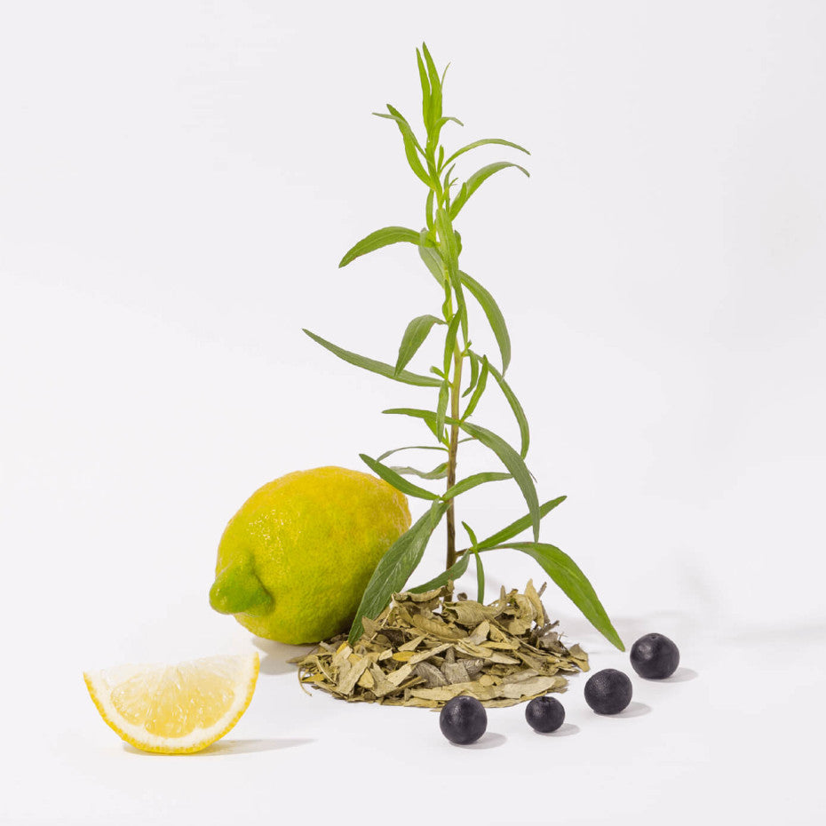 Compagnie de Provence Flüssigseife White Tea