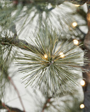 Lade das Bild in den Galerie-Viewer, HOUSE DOCTOR Weihnachtsbaum Peuce Natur mit Beleuchtung
