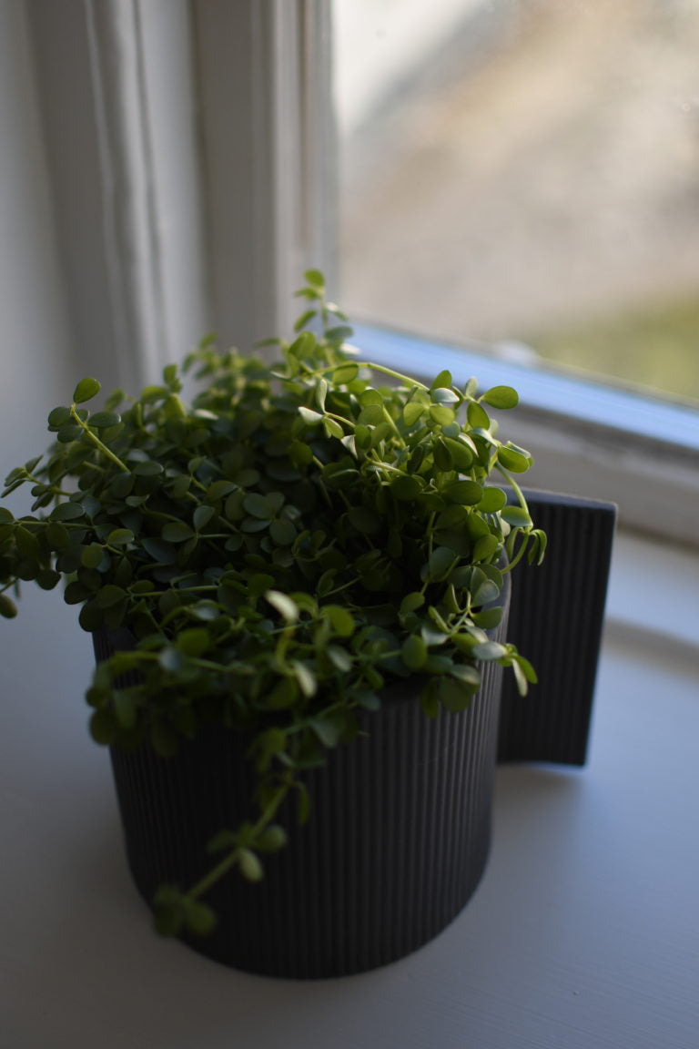 STOREFACTORY Vassunda Blumentopf dark grey
