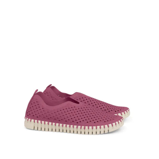 ILSE JACOBSEN Slipper Tulip Wild Berry